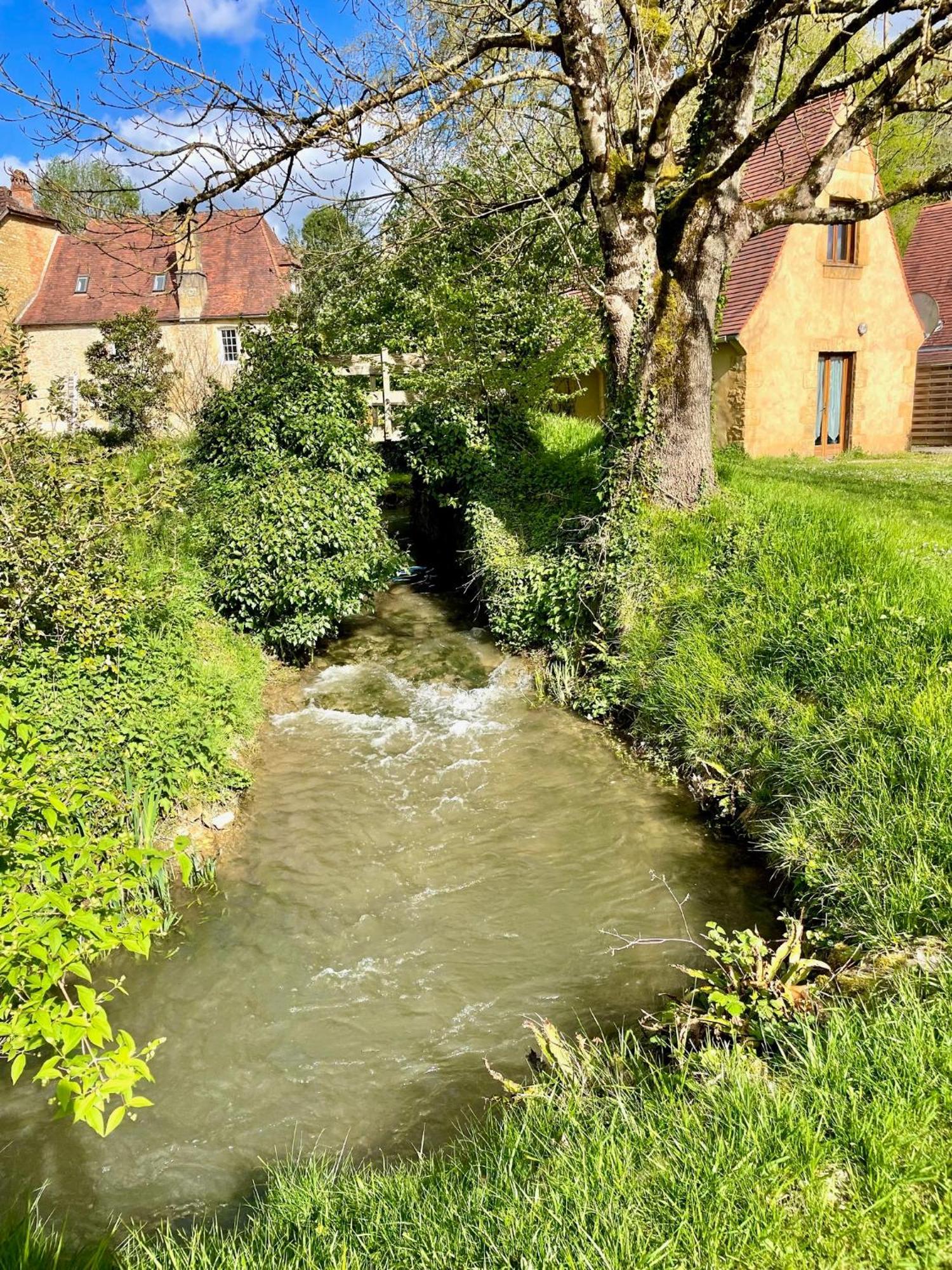 Вилла Le Moulin Aux Ans Archignac Экстерьер фото